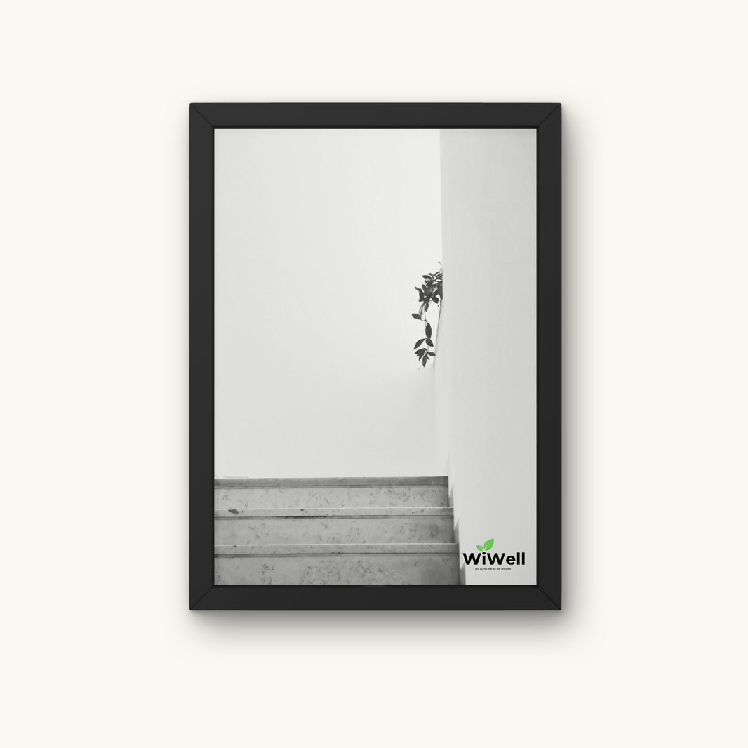 Serenity | WiLife