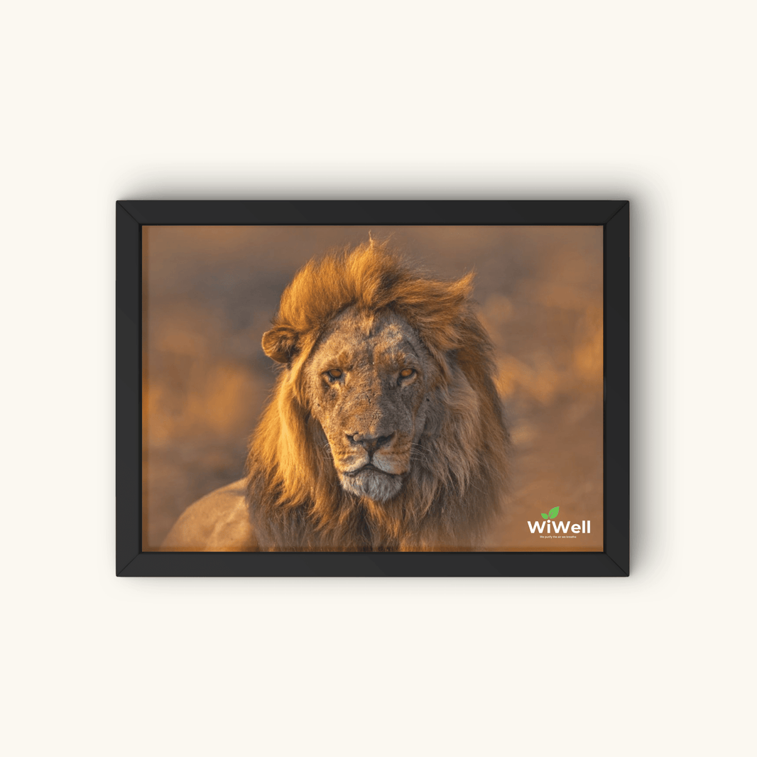 Golden King Art Panel | WiLife