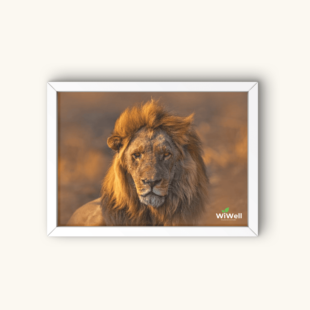 Golden King Art Panel | WiLife