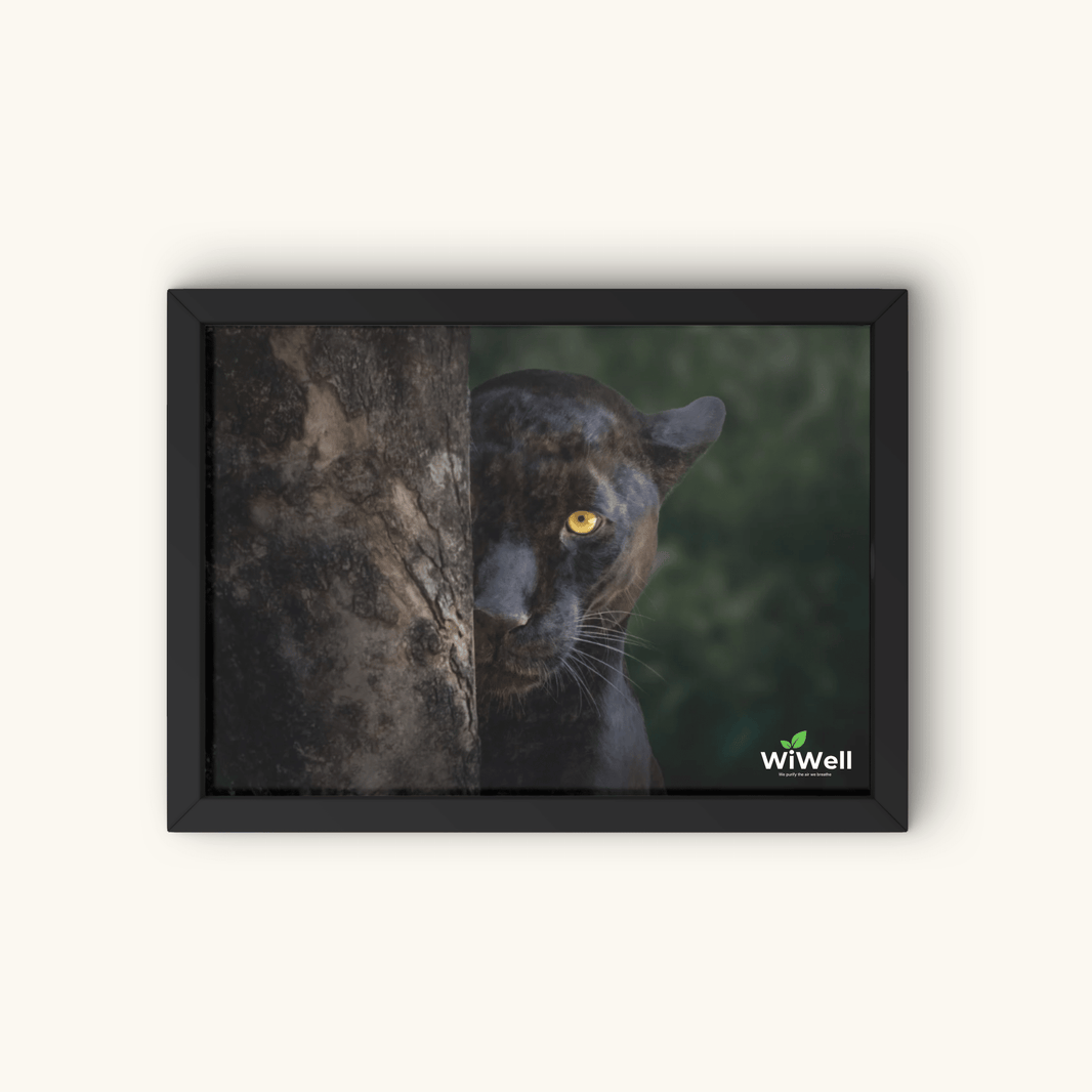 Shadow Panther Art Panel | WiLife