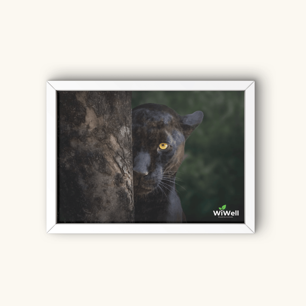 Shadow Panther Art Panel | WiLife