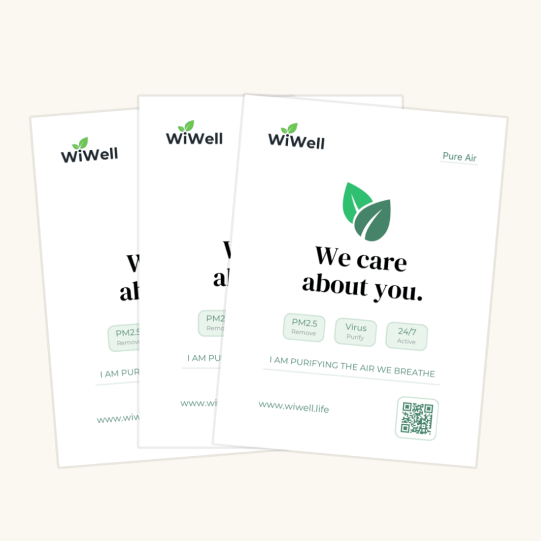 WiShield | Pack of 3